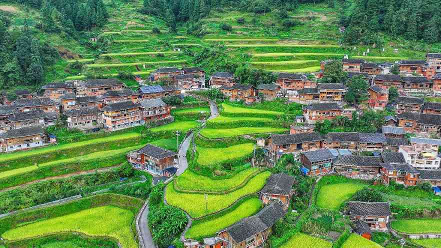 iPhone 17前置摄像头革新：方形画幅与Center Stage功能引领自拍体验