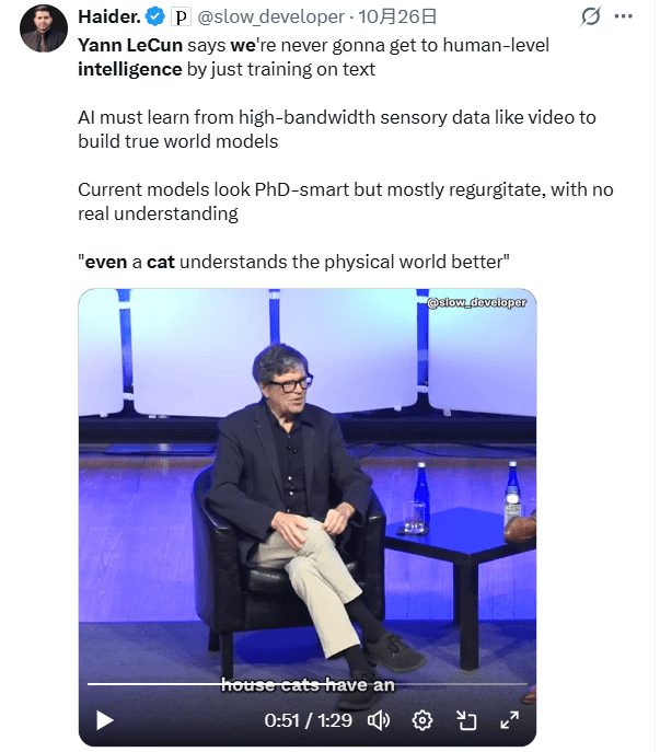 不跟你们卷LLM了！AI教父杨立昆要单飞创业，要