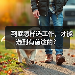 到底怎样选工作，才能选到有前途的？（图3）