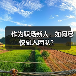 作为职场新人，如何尽快融入团队？（图2）