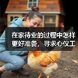 在家待业的过程中怎样更好准备,寻求心仪工作(图1) 在家待业的过程中怎样更好准备,寻求心仪工作(图1)