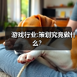 游戏行业:策划究竟做什么?(图2) 游戏行业:策划究竟做什么?(图2)