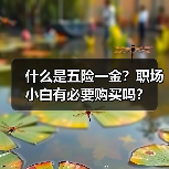 什么是五险一金？职场小白有必要购买吗？（图1）