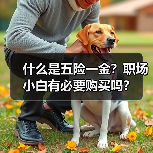 什么是五险一金？职场小白有必要购买吗？（图3）