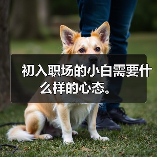 初入职场的小白需要什么样的心态。(图3) 初入职场的小白需要什么样的心态。(图3)