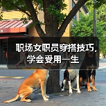 职场女职员穿搭技巧,学会受用一生(图1) 职场女职员穿搭技巧,学会受用一生(图1)