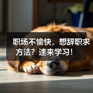 职场不愉快,想辞职求方法?速来学习!(图3) 职场不愉快,想辞职求方法?速来学习!(图3)