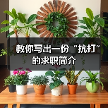 教你写出一份“抗打”的求职简介（图2）