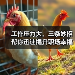 工作压力大,三条妙招帮你迅速提升职场幸福度(图4) 工作压力大,三条妙招帮你迅速提升职场幸福度(图4)