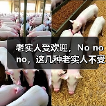 老实人受欢迎,No no no,这几种老实人不受欢迎,也不会得到提拔(图1) 老实人受欢迎,No no no,这几种老实人不受欢迎,也不会得到提拔(图1)