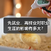 先就业,再择业对职业生涯的影响有多大?(图1) 先就业,再择业对职业生涯的影响有多大?(图1)