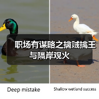 职场有谋略之擒贼擒王与隔岸观火(图2) 职场有谋略之擒贼擒王与隔岸观火(图2)