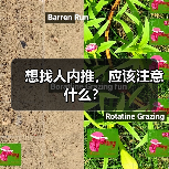想找人内推,应该注意什么?(图4) 想找人内推,应该注意什么?(图4)