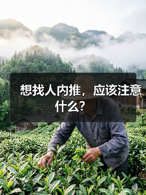 想找人内推,应该注意什么?(图2) 想找人内推,应该注意什么?(图2)