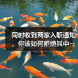 同时收到两家入职通知,你该如何拒绝其中一家(图4) 同时收到两家入职通知,你该如何拒绝其中一家(图4)
