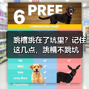 跳槽跳在了坑里？记住这几点，跳槽不跳坑（图1）