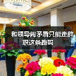 和领导闹矛盾只能走辞职这条路吗（图1）