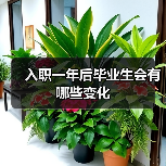 入职一年后毕业生会有哪些变化(图1) 入职一年后毕业生会有哪些变化(图1)