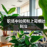 职场中如何和上司相处融洽(图2) 职场中如何和上司相处融洽(图2)