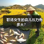 职场女生的育儿压力有多大？（图4）
