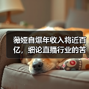 薇娅自爆年收入将近百亿，细论直播行业的苦与乐（图1）