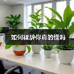 如何裸辞你真的懂吗(图2) 如何裸辞你真的懂吗(图2)