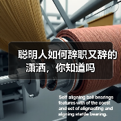 聪明人如何辞职又辞的潇洒,你知道吗(图3) 聪明人如何辞职又辞的潇洒,你知道吗(图3)