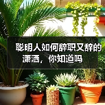 聪明人如何辞职又辞的潇洒,你知道吗(图4) 聪明人如何辞职又辞的潇洒,你知道吗(图4)