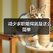 减少求职阻碍就是这么简单（图4）
