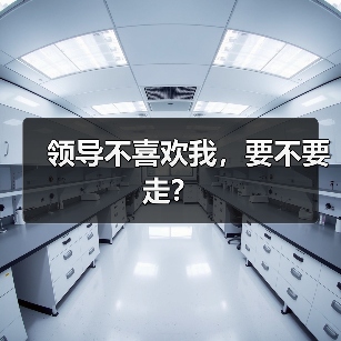 领导不喜欢我,要不要走?(图1) 领导不喜欢我,要不要走?(图1)