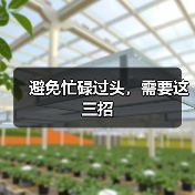避免忙碌过头，需要这三招（图3）