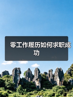 零工作履历如何求职成功(图4) 零工作履历如何求职成功(图4)