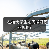 在校大学生如何做好职业规划?(图2) 在校大学生如何做好职业规划?(图2)
