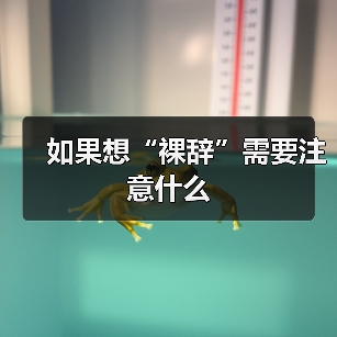 如果想“裸辞”需要注意什么(图3) 如果想“裸辞”需要注意什么(图3)