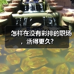怎样在没有彩排的职场,活得更久?(图4) 怎样在没有彩排的职场,活得更久?(图4)