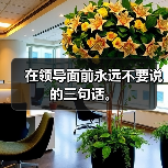 在领导面前永远不要说的三句话。(图2) 在领导面前永远不要说的三句话。(图2)