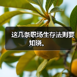 这几条职场生存法则要知晓。(图4) 这几条职场生存法则要知晓。(图4)