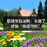职场生存法则:不说了,这些“救命守则”你必须知道!(图3) 职场生存法则:不说了,这些“救命守则”你必须知道!(图3)