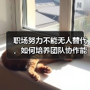 职场努力不能无人替代,如何培养团队协作能力?(图3) 职场努力不能无人替代,如何培养团队协作能力?(图3)
