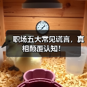 职场五大常见谎言,真相颠覆认知!(图1) 职场五大常见谎言,真相颠覆认知!(图1)