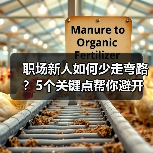 职场新人如何少走弯路？5个关键点帮你避开常见误区（图1）
