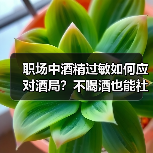 职场中酒精过敏如何应对酒局?不喝酒也能社交(图1) 职场中酒精过敏如何应对酒局?不喝酒也能社交(图1)