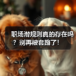职场潜规则真的存在吗?别再被套路了!(图1) 职场潜规则真的存在吗?别再被套路了!(图1)