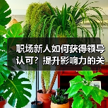 职场新人如何获得领导认可?提升影响力的关键技巧(图4) 职场新人如何获得领导认可?提升影响力的关键技巧(图4)