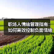 职场人情绪管理指南:如何高效控制负面情绪?(图2) 职场人情绪管理指南:如何高效控制负面情绪?(图2)