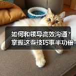如何和领导高效沟通?掌握这些技巧事半功倍(图2) 如何和领导高效沟通?掌握这些技巧事半功倍(图2)