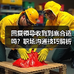 回复领导收到到底合适吗?职场沟通技巧解析(图1) 回复领导收到到底合适吗?职场沟通技巧解析(图1)