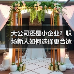 大公司还是小企业?职场新人如何选择更合适?(图4) 大公司还是小企业?职场新人如何选择更合适?(图4)