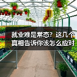 就业难是常态?这几个真相告诉你该怎么应对(图4) 就业难是常态?这几个真相告诉你该怎么应对(图4)