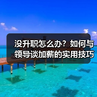 没升职怎么办?如何与领导谈加薪的实用技巧(图4) 没升职怎么办?如何与领导谈加薪的实用技巧(图4)